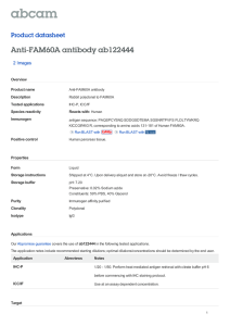 Anti-FAM60A antibody ab122444 Product datasheet 2 Images Overview