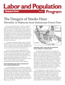 The Dangers of Smoke Haze R Research Brief