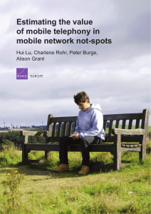 Estimating the value of mobile telephony in mobile network not-spots