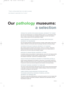 Our museums: pathology a selection