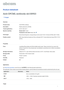 Anti-OPCML antibody ab100923 Product datasheet 3 Images