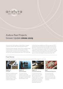 Arafura Pearl Projects spring 2009