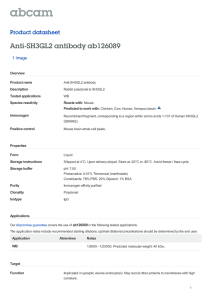 Anti-SH3GL2 antibody ab126089 Product datasheet 1 Image