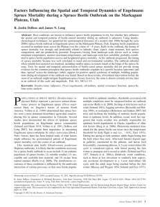 Factors Influencing the Spatial and Temporal Dynamics of Engelmann