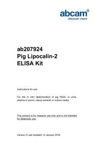 ab207924 Pig Lipocalin-2 ELISA Kit