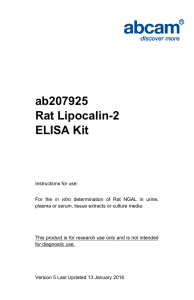 ab207925 Rat Lipocalin-2 ELISA Kit
