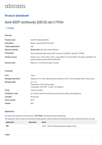Anti-KIST antibody [5E10] ab117936 Product datasheet 2 Images Overview