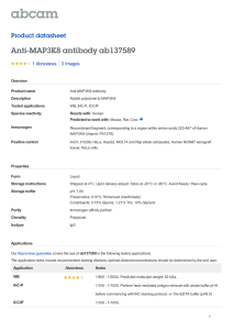Anti-MAP3K8 antibody ab137589 Product datasheet 1 Abreviews 3 Images