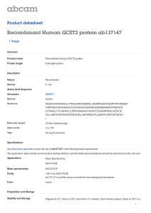Recombinant Human GCET2 protein ab137147 Product datasheet 1 Image Overview