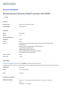 Recombinant Human Hsp27 protein ab124305 Product datasheet 1 Image Overview