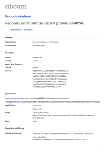 Recombinant Human Hsp27 protein ab48740 Product datasheet 1 References 2 Images