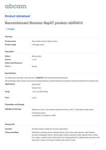 Recombinant Human Hsp27 protein ab92410 Product datasheet 2 Images Overview