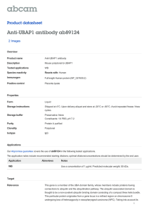 Anti-UBAP1 antibody ab89124 Product datasheet 2 Images