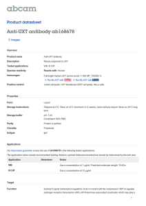 Anti-UXT antibody ab168678 Product datasheet 3 Images Overview