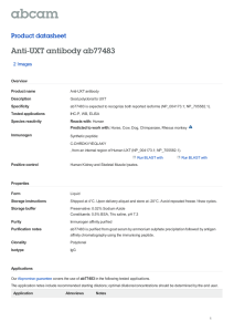Anti-UXT antibody ab77483 Product datasheet 2 Images Overview