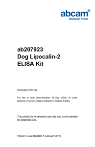 ab207923 Dog Lipocalin-2 ELISA Kit