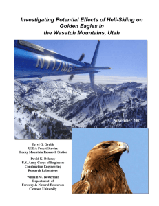 Investigating Potential Effects of Heli-Skiing on Golden Eagles in November