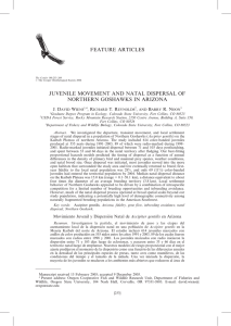 FEATURE ARTICLES JUVENILE MOVEMENT AND NATAL DISPERSAL OF NORTHERN GOSHAWKS IN ARIZONA