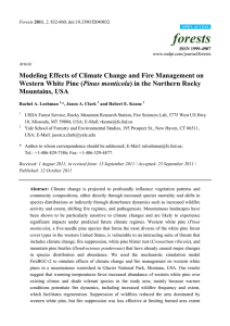 forests Modeling Effects of Climate Change and Fire Management on Pinus monticola