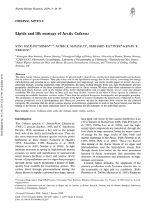 Lipids and life strategy of Arctic Calanus STIG FALK-PETERSEN* , PATRICK MAYZAUD