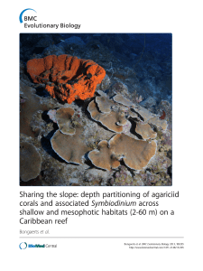 Sharing  the  slope:  depth  partitioning ... corals  and  associated across