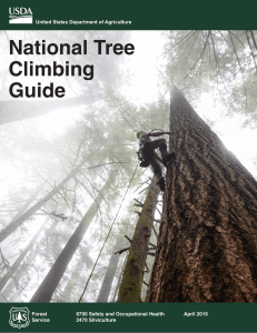 National Tree Climbing Guide 1