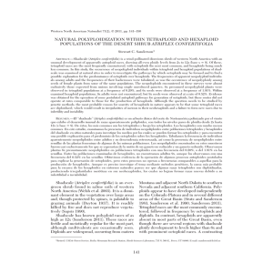 NATURAL POLYPLOIDIZATION WITHIN TETRAPLOID AND HEXAPLOID ATRIPLEX CONFERTIFOLIA Stewart C. Sanderson