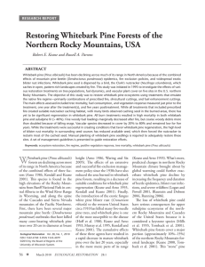 Restoring Whitebark Pine Forests of the Northern Rocky Mountains, USA AbStRAct
