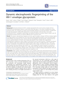 Dynamic electrophoretic fingerprinting of the HIV-1 envelope glycoprotein Open Access
