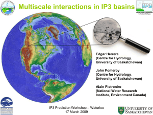 Multiscale interactions in IP3 basins