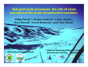 Sub-grid scale processes: the role of snow Philip Marsh , Stefano Endrizzi