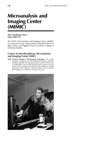Microanalysis and Imaging Center (MIMIC)