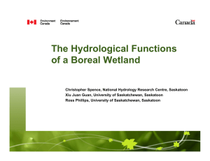 The Hydrological Functions of a Boreal Wetland