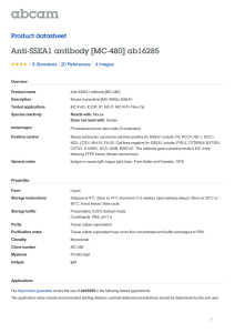 Anti-SSEA1 antibody [MC-480] ab16285 Product datasheet 8 Abreviews 4 Images