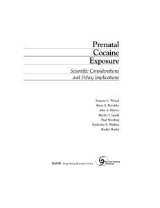 Prenatal Cocaine Exposure Scientific Considerations