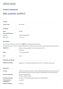 MAL peptide ab39812 Product datasheet Overview Product name