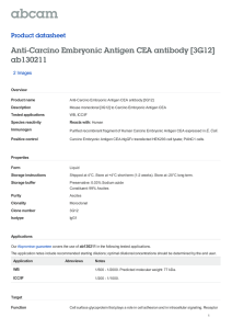 Anti-Carcino Embryonic Antigen CEA antibody [3G12] ab130211