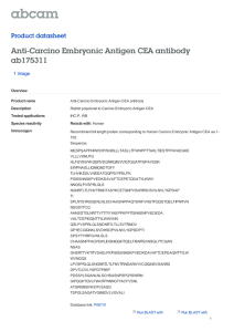 Anti-Carcino Embryonic Antigen CEA antibody ab175311