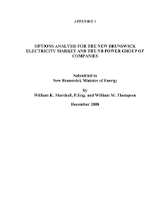 OPTIONS ANALYSIS FOR THE NEW BRUNSWICK COMPANIES