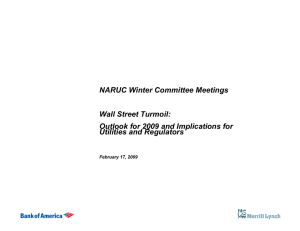 NARUC Winter Committee Meetings Wall Street Turmoil: Utilities and Regulators