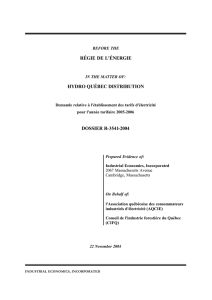 RÉGIE DE L'ÉNERGIE  HYDRO QUÉBEC DISTRIBUTION DOSSIER R-3541-2004