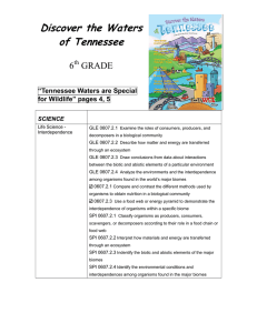 Discover the Waters of Tennessee  6