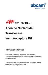 ab109713 – Adenine Nucleotide Translocase Immunocapture Kit