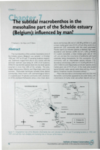 Tlîe suBtiCial macrobenthos in the mes.ohaline part of the Schelde estuary