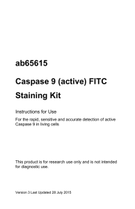 ab65615 Caspase 9 (active) FITC Staining Kit Instructions for Use
