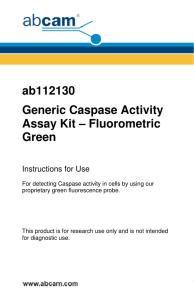 ab112130 Generic Caspase Activity Assay Kit – Fluorometric Green