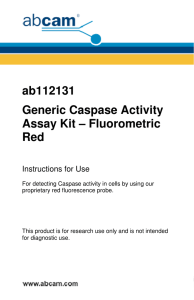 ab112131 Generic Caspase Activity Assay Kit – Fluorometric Red