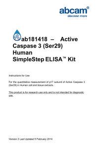 ab181418  –    Active Caspase 3 (Ser29) Human SimpleStep