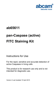 ab65611 pan-Caspase (active) FITC Staining Kit Instructions for Use