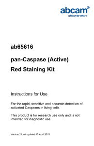 ab65616 pan-Caspase (Active) Red Staining Kit Instructions for Use